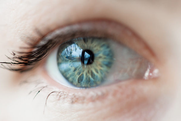 жінки синім очей
 - Фото, зображення