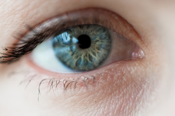 women blue eye - Photo, Image