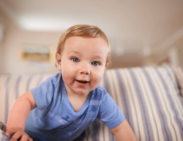 Playing, crawl and portrait of baby in sofa or home for fun, growth or learning alone in living room. Energy, boy or face of a curious male kid on couch for child development or wellness in a house. - Photo, Image