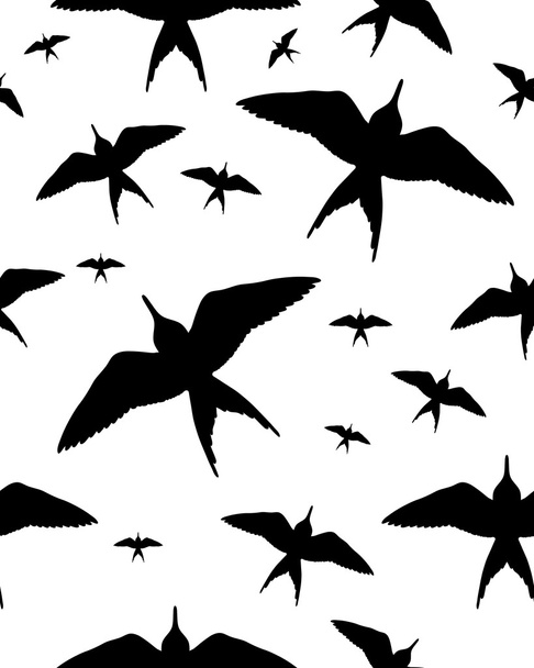 Birds on white - Vector, imagen
