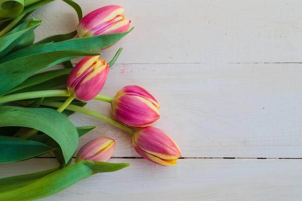 Art abstract background spring tulips wooden design - Foto, Bild