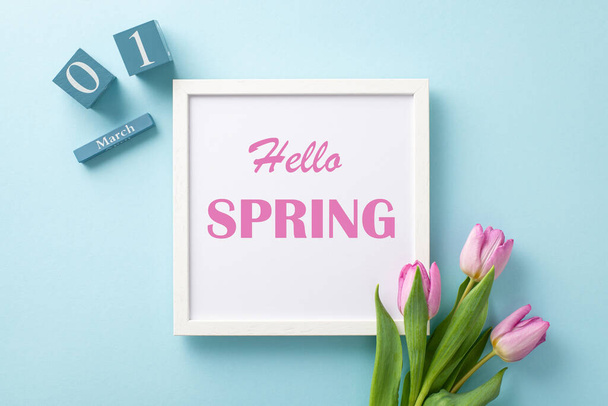 Scène d'éveil printanier ! Vue du haut du cadre "Hello Spring", le 1er mars sur les cubes de calendrier, bouquet de tulipes fraîches sur un décor bleu pastel. Espace prêt pour la publicité - Photo, image