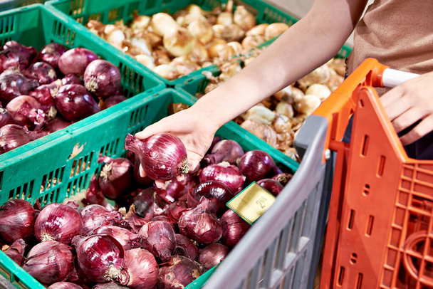 Red onion in the hands of the buyer in store - Valokuva, kuva