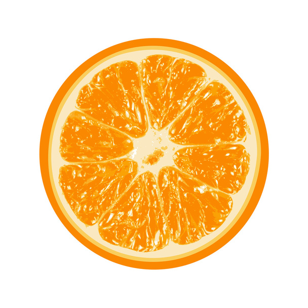 Fresh orange isolated on white background - Wektor, obraz