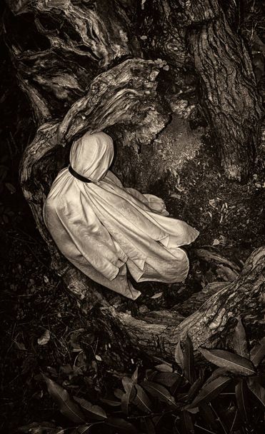 Una imagen monocromática de una persona envuelta en una manta blanca sobre un telón de fondo de la naturaleza. - Foto, Imagen