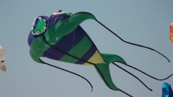 γίγαντας kite - Πλάνα, βίντεο