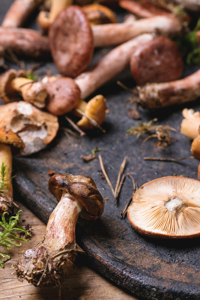 Mix of forest mushrooms - Foto, Imagen