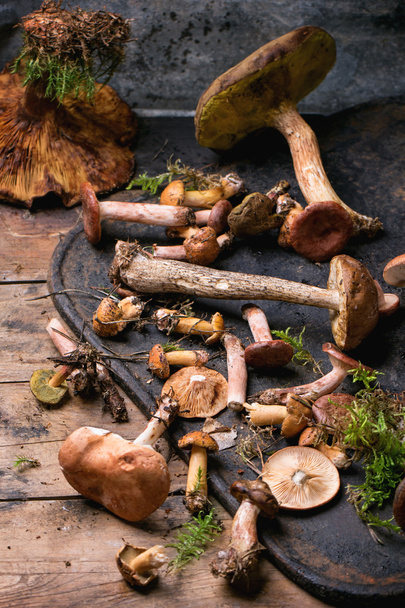 Mix of forest mushrooms - Foto, Imagem