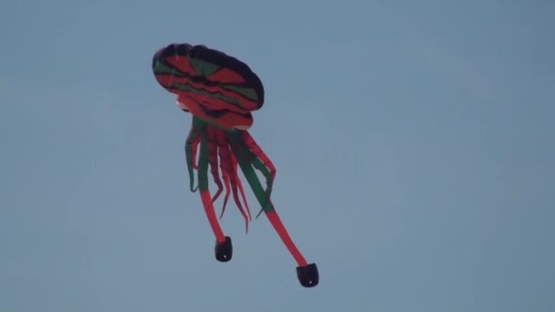 γίγαντας kite - Πλάνα, βίντεο