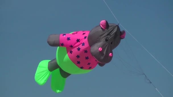 Giant kite - Footage, Video