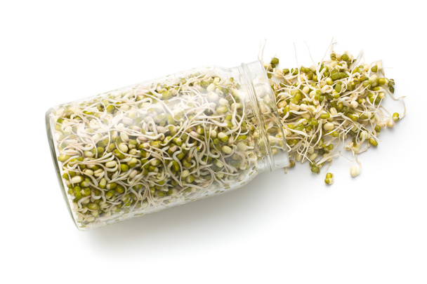 Sprouted mung beans - Photo, image