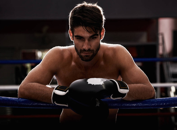 Portrait, gloves and man in serious boxing ring for exercise, challenge or competition fight in dark gym. Power, muscle or champion boxer at workout with confidence, pride or fitness in sports battle. - Photo, Image