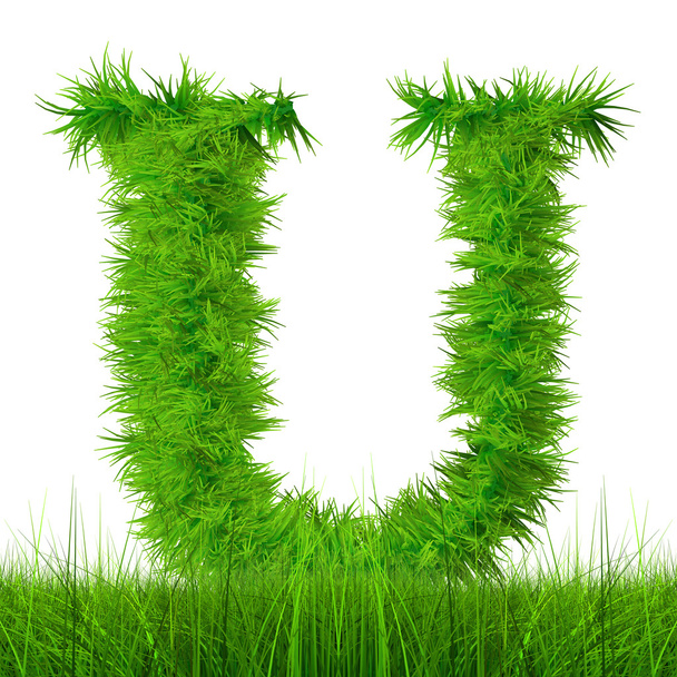 Green grass font - Photo, Image