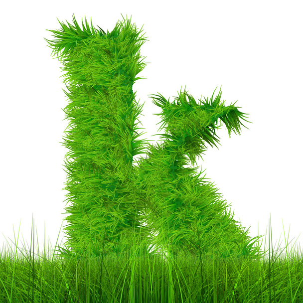 Green grass font - Photo, Image