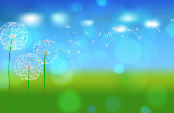 Beautiful summer meadow with dandelions - Διάνυσμα, εικόνα
