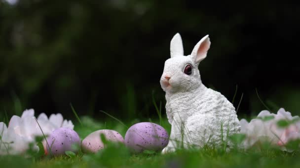 Pasen achtergrond met konijn, eieren en bloemen op groene natuur achtergrond met kopieerruimte - Video