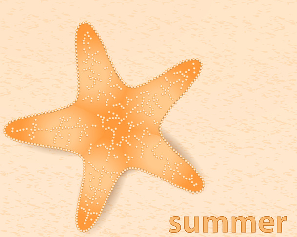 Ilustração de verão com estrela do mar
 - Vetor, Imagem