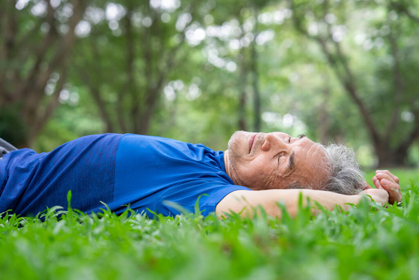 スポーティな上級男性は草の上に横たわり,公園で休んでいる間に昼寝をし,日中の不十分な睡眠は,通常,毎日の活動を実行するのを助けるために,高齢者の体を休息し,復元するのに役立ちます - 写真・画像