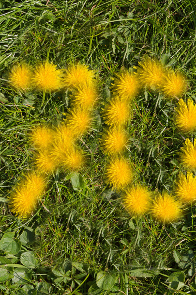 Number seventeen drawn with dandelion on the lawn - Photo, Image