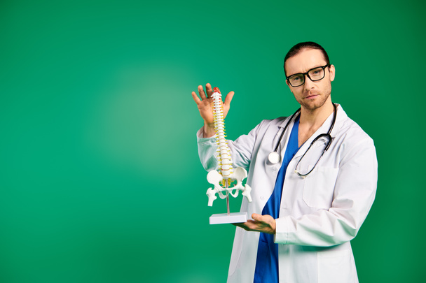 Médico masculino en bata blanca sostiene modelo esqueleto humano. - Foto, imagen