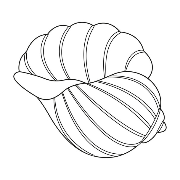 Ilustración vectorial de concha marina. Esquema blanco y negro Seashell Dibujo para colorear para niños y adultos. Página de relajación y meditación. Ilustración vectorial - Vector, Imagen