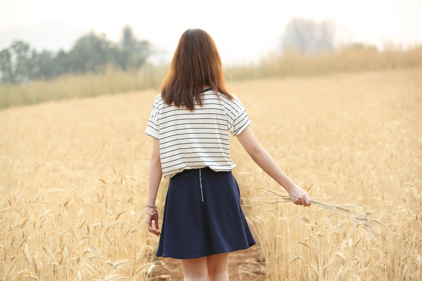 Mladá žena v pšenici - Fotografie, Obrázek