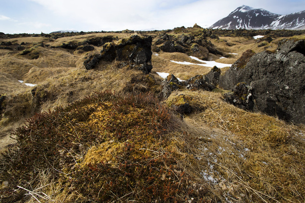 Imponujące wulkaniczny krajobraz na półwyspie Snæfellsnes - Zdjęcie, obraz
