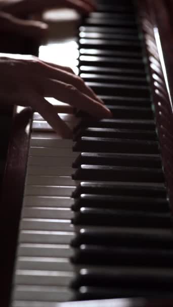 Lähikuva pianistit kädet pelaa näppäimistöä pimeässä. Soittimet ja vapaa-ajan käsite. Pystysuora video - Materiaali, video