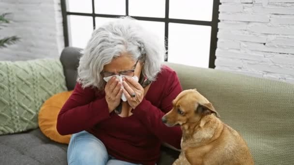 Donna anziana starnutisce con un tessuto sul divano mentre il suo cane attento guarda in un accogliente soggiorno. - Filmati, video
