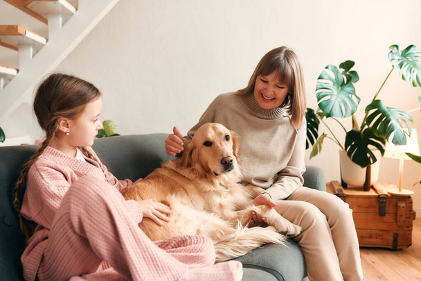 Abuela con linda nieta jugando y divirtiéndose con el perro en la acogedora sala de estar, pasando un buen rato juntos. - Foto, Imagen