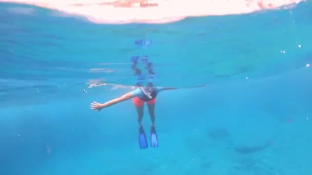 İtalya 'nın Elba adasında heyecanlı bir yaz tatili. Enfola 'nın berrak Mavi Mağarası' nda, şnorkel maskesi ve gözlük takarak deniz yaşamını keşfetmek için sualtı dalış macerası.. - Video, Çekim
