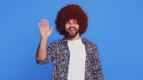 Mężczyzna z afro fryzury peruka uśmiecha przyjazny przed kamerą, machając rękami gestykulując cześć powitanie lub pożegnanie powitanie z zaproszeniem gościnny wyraz twarzy. Stylowy facet odizolowany na tle niebieskiego studia - Materiał filmowy, wideo