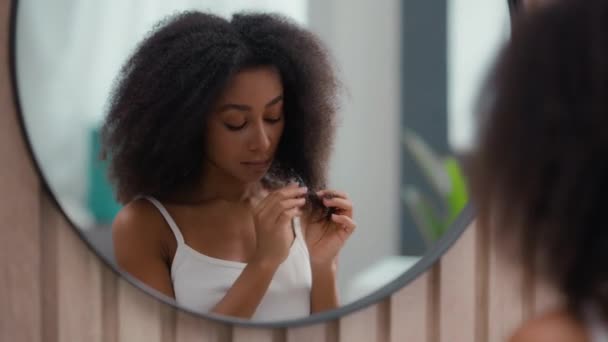 Bezorgd mooie verdrietig overstuur Afro-Amerikaanse vrouw meisje vrouwelijke dame kijken spiegel reflectie houden breekbaar krullend haar beschadigd droge krullen ongezond gespleten punten hormoon probleem vitaminen tekort - Video