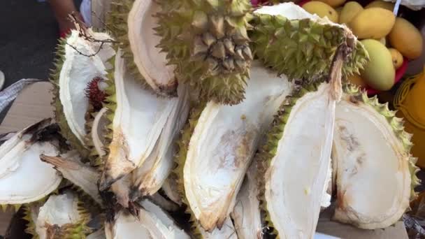 bont van durian Durians populaire vruchten, Durian plantage, Durians zijn de koning van de vruchten en kan worden gekweekt in de juiste Tropische gebied, provincie Chantaburi, Thailand - Video