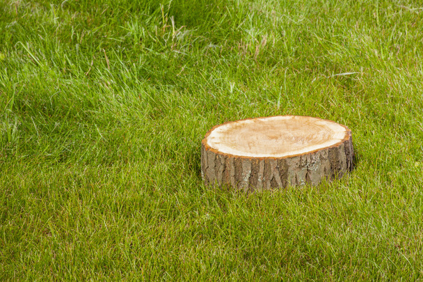 Tree stump on  grass - 写真・画像