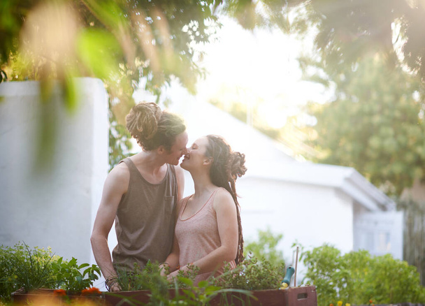 Šťastný pár, líbání a práce s rostlinami na zahradě, sklizeň a udržitelnost bylin pro růst. Lidé, muž a žena pečující o zeleninu s úsměvem, sblížení a randění ve vztahu. - Fotografie, Obrázek
