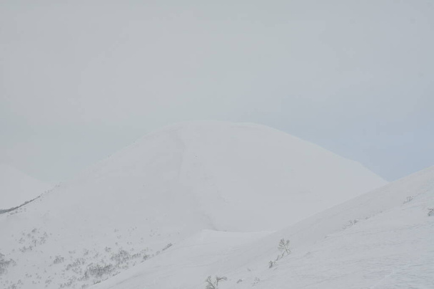 Hokkaido Japan winter Landschap Bos bomen ski touring sport. Hoge kwaliteit foto - Foto, afbeelding