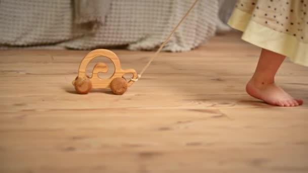 Маленькая девочка играет с деревянной улиткой, катающейся по полу. Экологическая концепция и концепция устойчивого развития - Кадры, видео