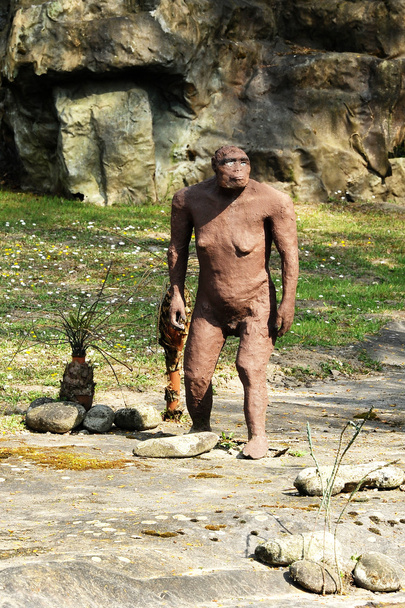 Australopithecus Afarensis standbeeld op rotsachtige grond - Foto, afbeelding