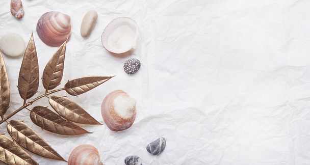 Collection of seashells and stones against a crinkled paper backdrop. Copy space. - Photo, Image
