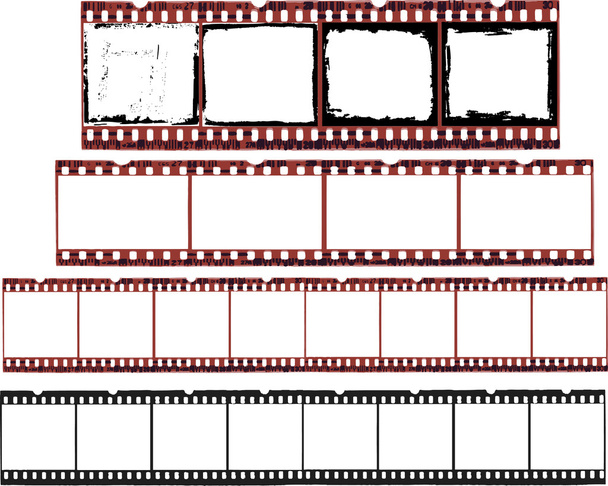 Selección de células de película
 - Vector, Imagen