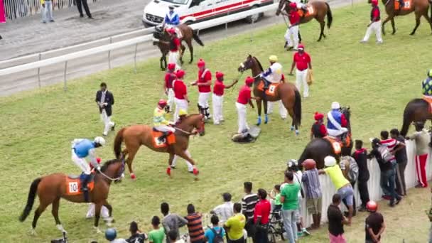 Jockeys atlarını hazırlanıyor - Video, Çekim