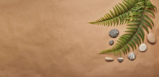 Eco-friendly summer background with ferns and pebbles and ample copy space. Extra wide banner. - Photo, Image