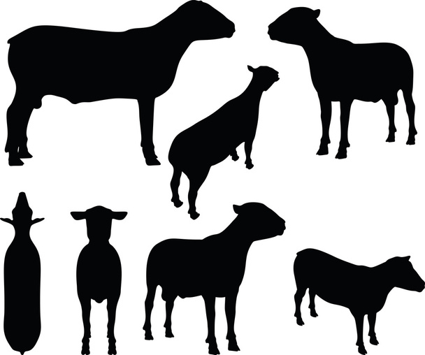 silhouette de mouton avec pose immobile debout
 - Vecteur, image