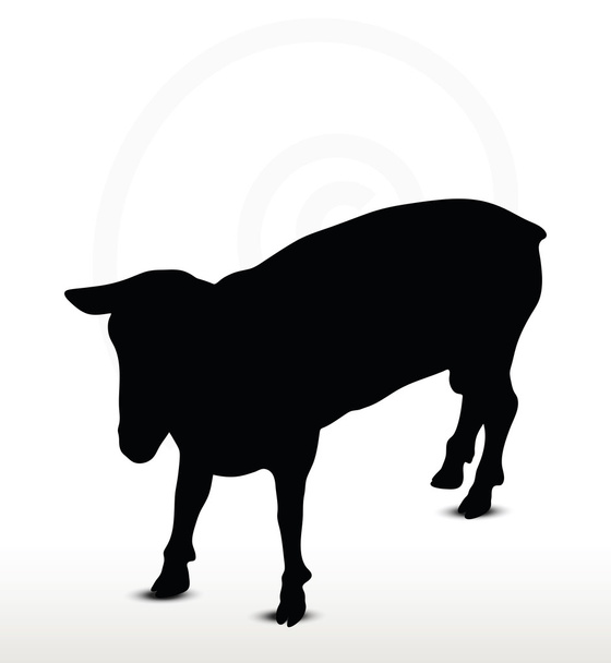 silhouette di pecora con posa ferma in piedi
 - Vettoriali, immagini