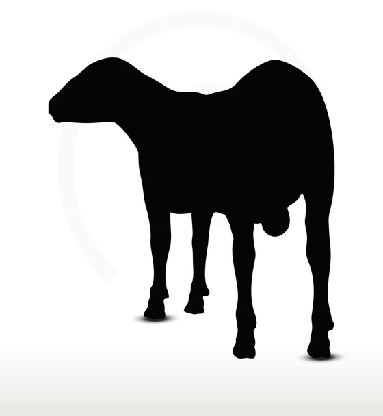 sheep silhouette with looking pose - Vector, Image