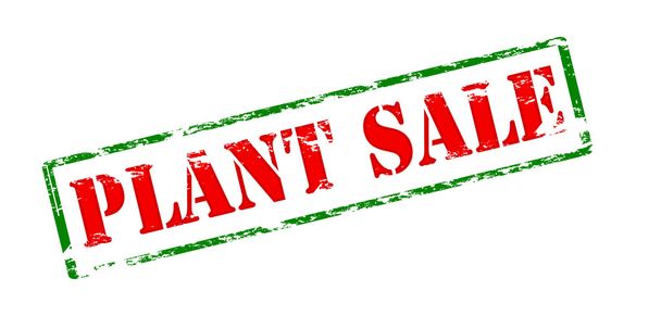 Продажа растений
 - Вектор,изображение