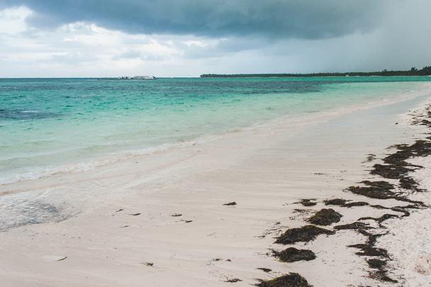Tropical Paradise. Dominican Republic, Seychelles, Caribbean, Mauritius, Philippines, Bahamas. Relaxing on remote Paradise beach. Vintage. - Zdjęcie, obraz