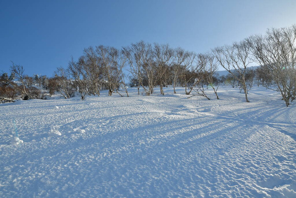 Mt Yotei ανάβαση ηλιόλουστη μέρα απόψεις χειμώνα χιόνι Ski Touring. Υψηλής ποιότητας φωτογραφία - Φωτογραφία, εικόνα