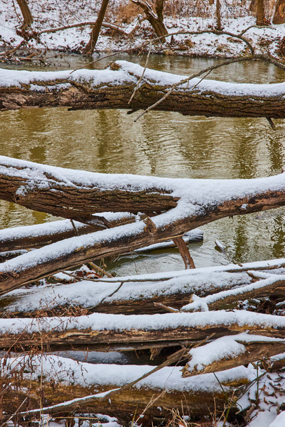 Serena escena de invierno en Cooks Landing County Park con troncos cubiertos de nieve junto a Calm River, reflejando el cielo nublado - Foto, Imagen